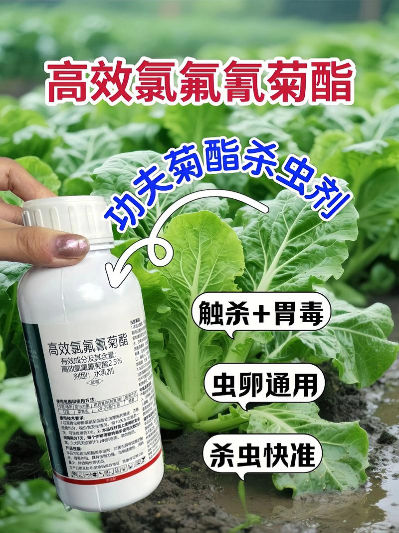 东莞代生中心:农药对供卵代生妈妈的危害